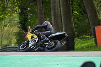 Middle Group Yellow Bikes